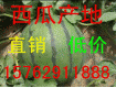 15762911888大棚西瓜今日便宜大降价了