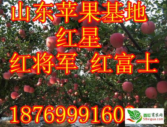 05-27-36-13-21009_jpg_mid11_副本_1_副本6_副本1_副本1_副本1_副本_副本