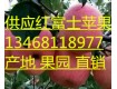 山东红富士13468118977红富士苹果批发价格及行情分析