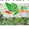 花皮无籽西瓜图三