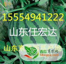 u=1068740155,3510319141&fm=21&gp=0_副本