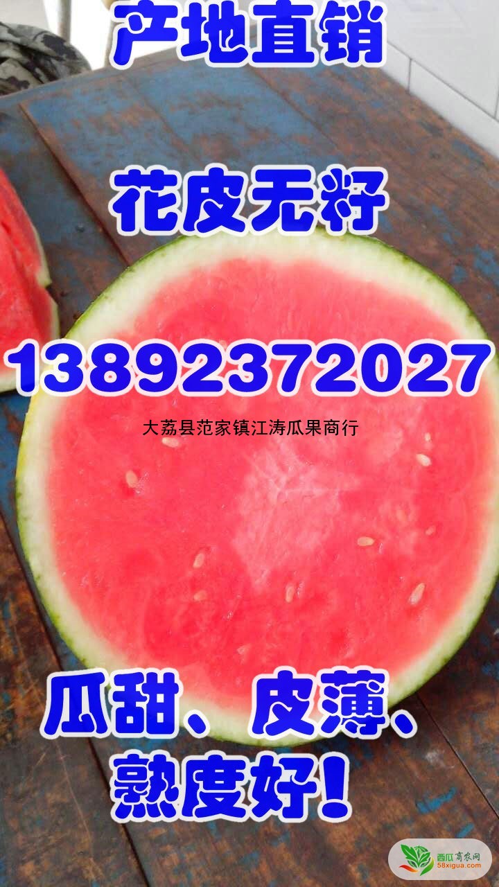 花皮无籽西瓜图一