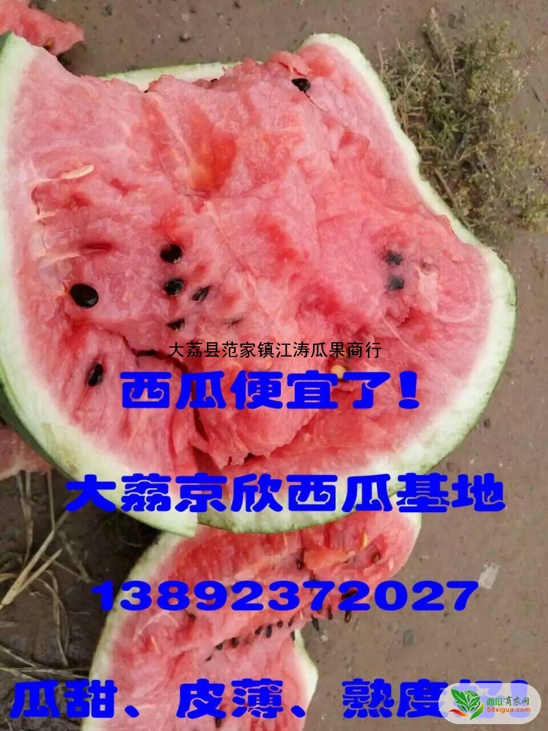 西瓜代办西瓜图一