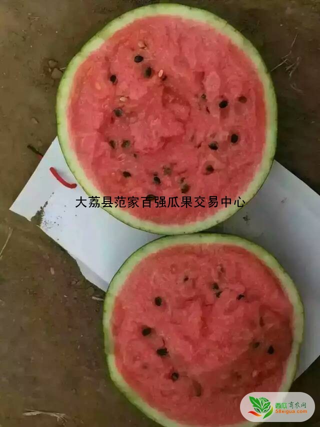 西瓜代办西瓜图二