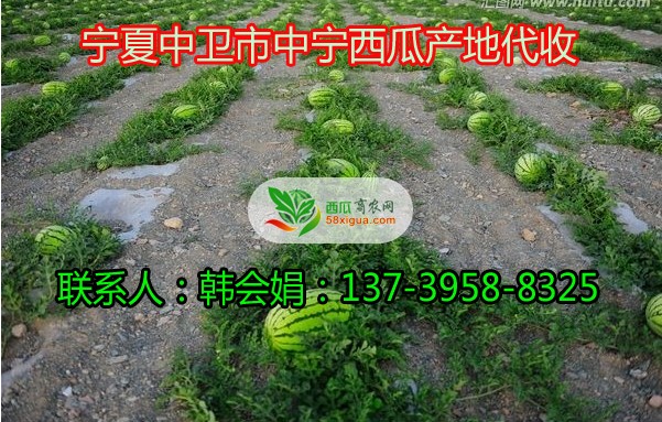 QQ图片5335140720