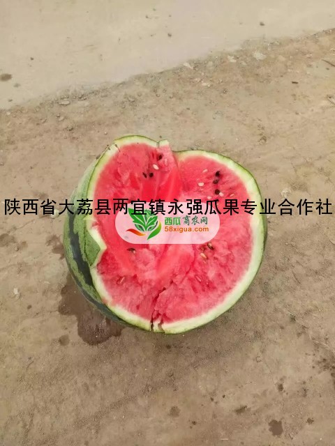 甜王西瓜西瓜图一