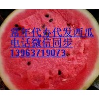 河南太康西瓜代办批发价格咨询13963719073